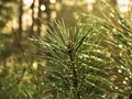 image0084