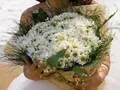 image0007