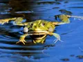 image893