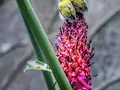 image1295