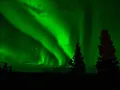 Para Młoda plener nocny