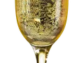 image0293