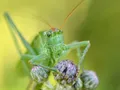 image0221