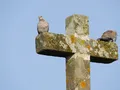 image048