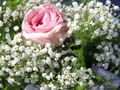image0150