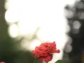 image0669