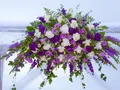 image0078