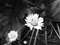image046