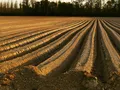 image0033