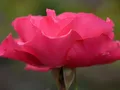 image0980