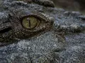 image022