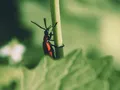 image0282