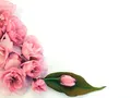 image0616