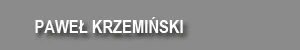  Fotograf Poznań - Paweł Krzemiński - Plenery Ślubne Poznań